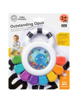  Brinquedo Sensorial E Mordedor Outstanding - Baby Einstein